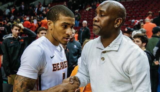 是团结的象 是团结的象